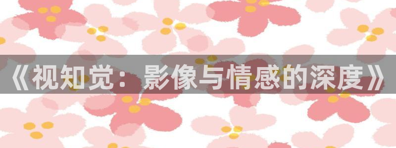 窝窝网高清电视剧观看